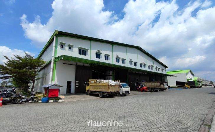 CV-Amazon-Satwa-Nusantara-Nilai-Iklan-Eco-Green-Pekanbaru-tak-Sesuai-Fakta.jpg
