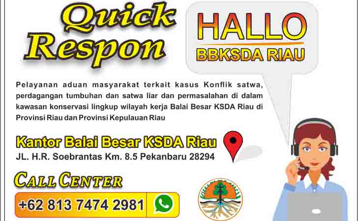 Call-Center-BBKSDA-Riau.jpg