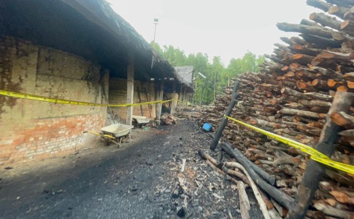 Dapur-arang-ilegal-di-meranti.jpg