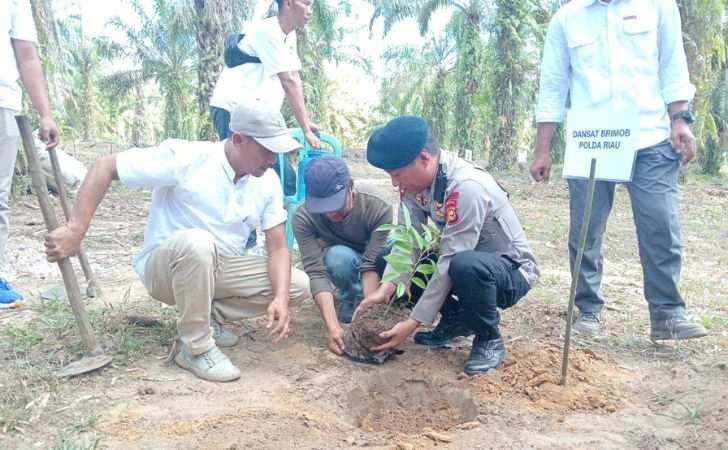 Dukung-Pelestarian-Lingkungan-Danden-Gegana-Lakukan-Penghijauan-Nusantara.jpg