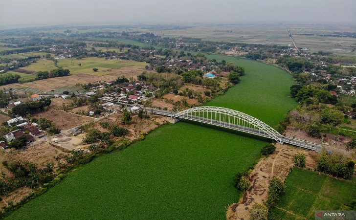 Eceng-gondok-di-bengawan-solo.jpg