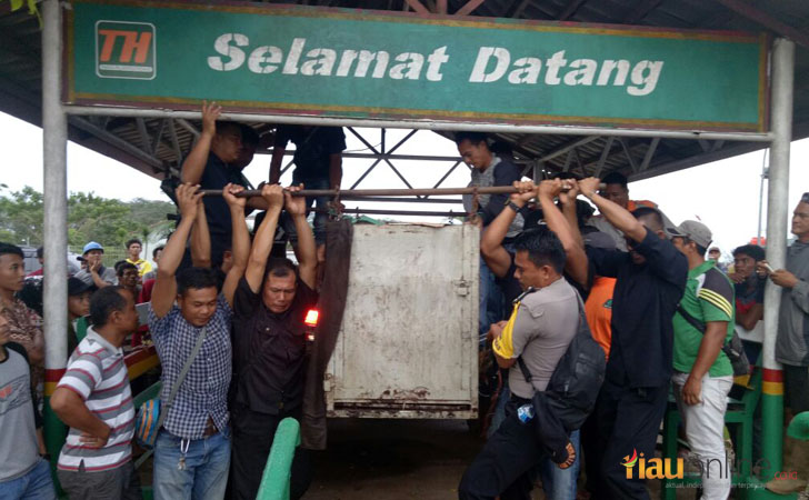 Evakuasi-Harimau-Sumatera-Bonita.jpg