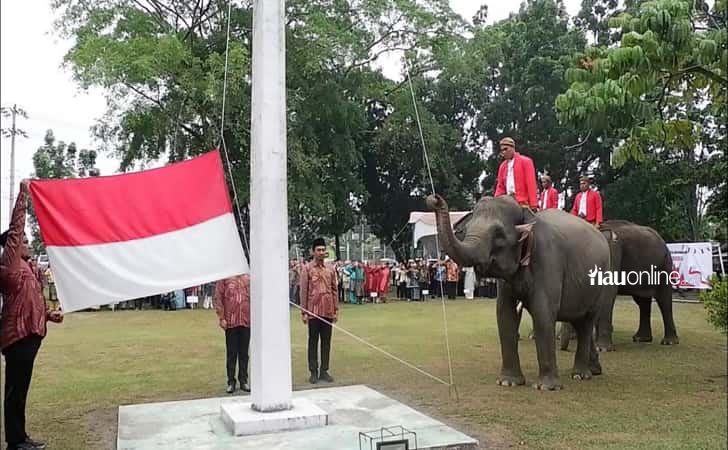 Gajah-kibarkan-bendera-di-bbksda.jpg