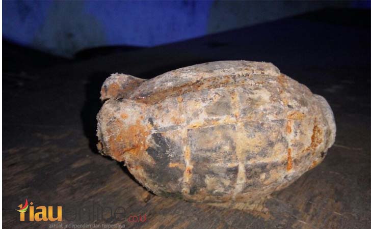 Granat-Nenas.jpg