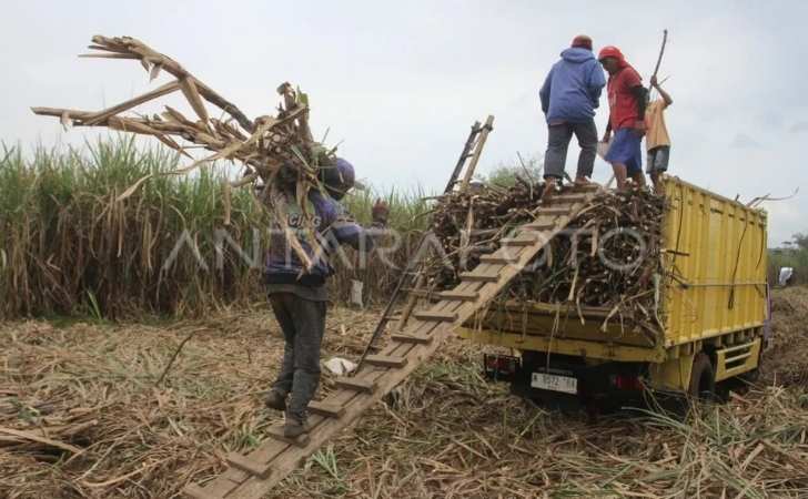 Gula-Koperasi-Petani-Tebu-dapat-Dipasarkan-Lewat-KDKMP.jpg