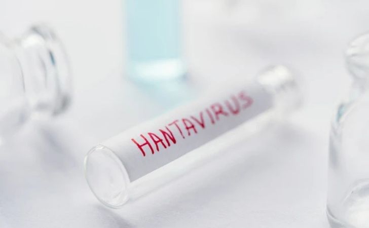 Ilustrasi-Hantavirus.jpg