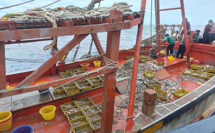 Ilustrasi-illegal-fishing.jpg