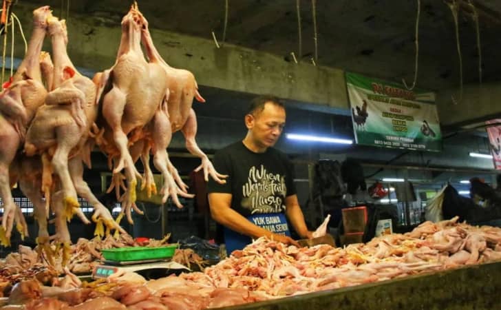 Ilustrasi-pedagang-daging-ayam.jpg