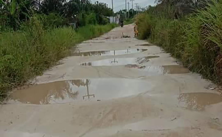 Jalan-Utama-Beringin-Ujung.jpg
