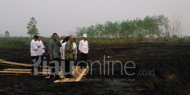 Jokowi-Jalan-jalan-ke-RImbo-Panjang.jpg