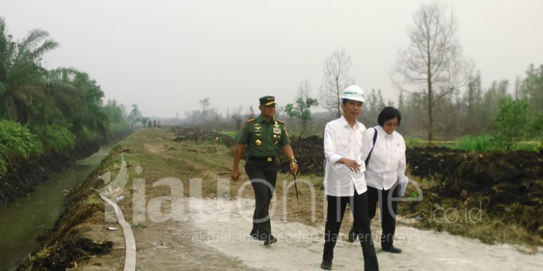 Jokowi-di-Rimbo-Panjang.jpg