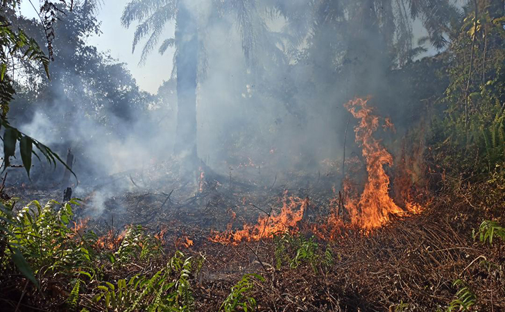 Kabakaran-hutan-dan-lahan9.jpg