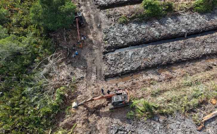 Kapolda-Instruksikan-Pengusutan-Dugaan-Perusakan-100-Ha-Mangrove-di-Rohil.jpg