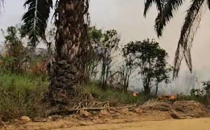 Karhutla-Belum-Usai-Kobaran-Api-Membakar-Lahan-di-Kota-Lama-Inhu.jpg