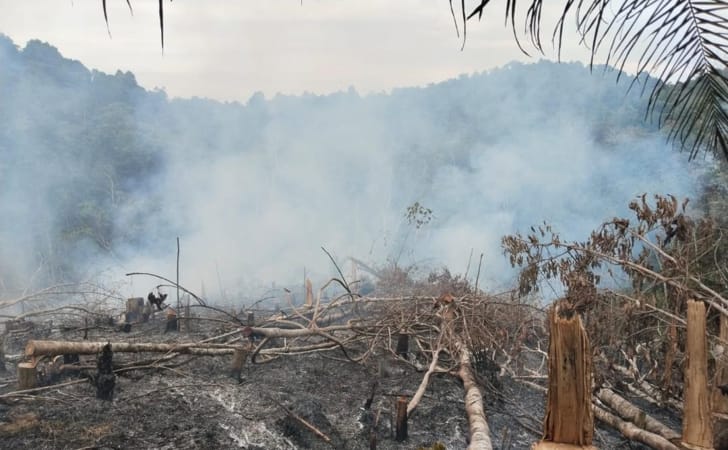 Karhutla-di-hutan-lindung-kuansing.jpg