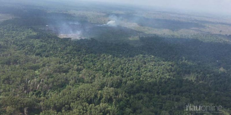 Kawasan-Taman-Nasional-Tesso-Nilo-Dibakar.jpg