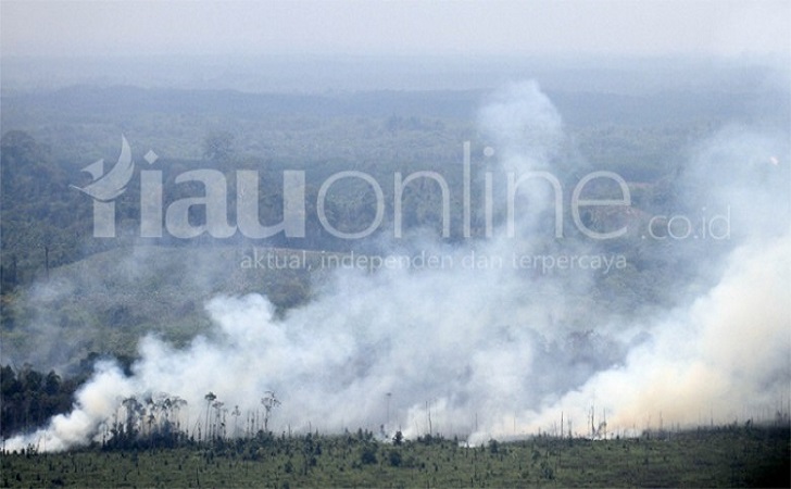 Kebakaran-Hutan-Riau1.jpg
