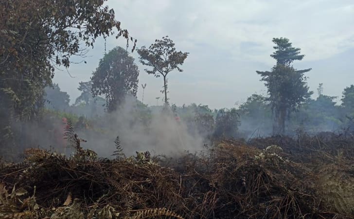 Kebakaran-Hutan-dan-Lahan16.jpg