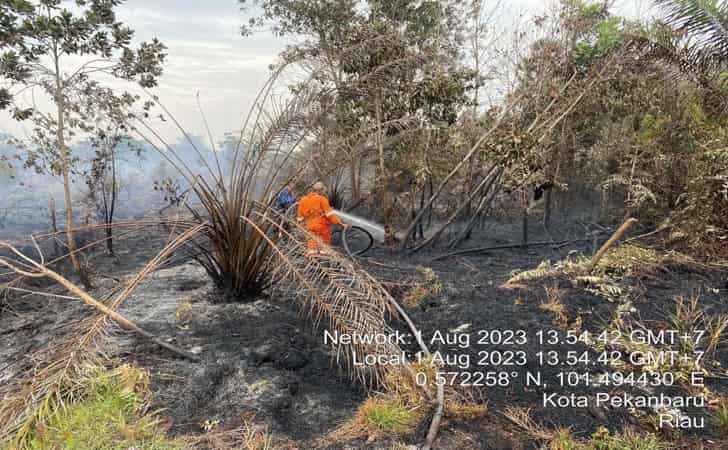 Kebakaran-Hutan-dan-Lahan17.jpg