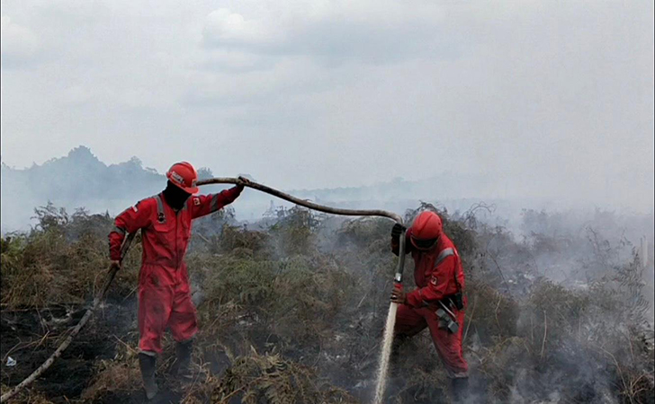 Kebakaran-Hutan-dan-Lahan4.jpg