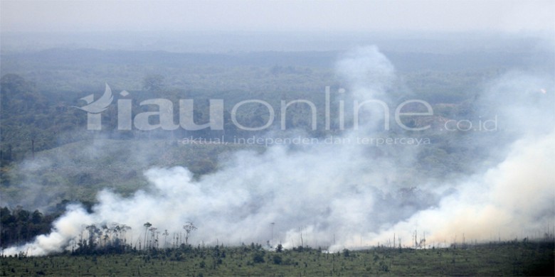 Kebakaran-Lahan-dan-Hutan.jpg