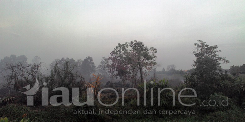 Kebakaran-Lahandi-Payung-Sekaki.jpg