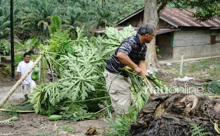 Kebun-warga-yang-dirusak-gajah.jpg