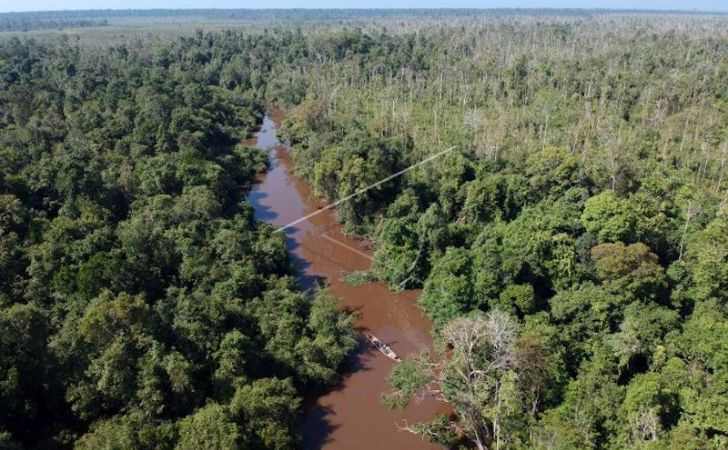 Kemenhut-Tangkap-Aktor-Utama-Perambahan-Hutan-TN-Berbak-Sembilang.jpg