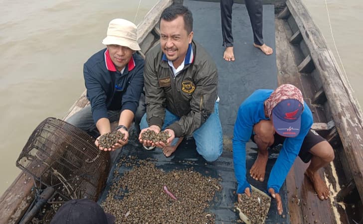 Kerang-darah.jpg