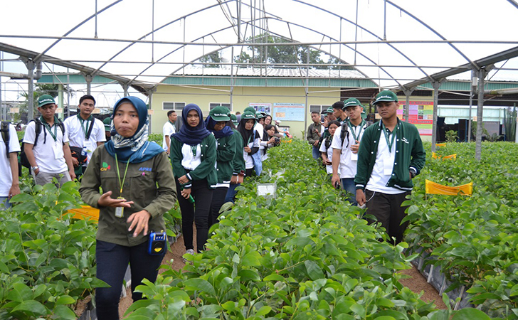 Kerinci-Central-Nursery.jpg