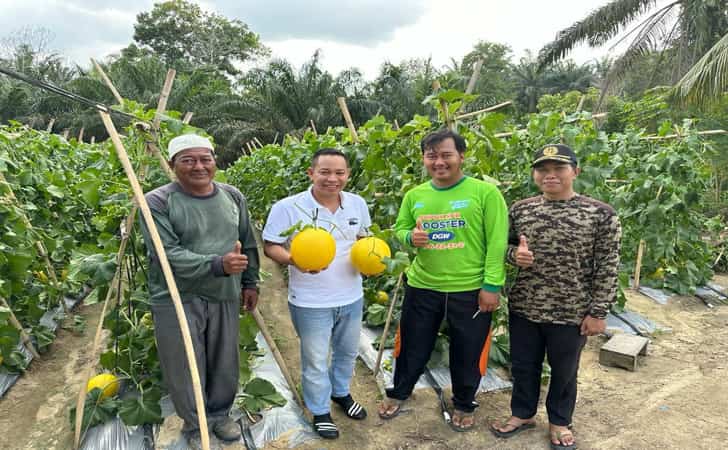 Ketua-dprd-siak-bersama-petani-melon.jpg