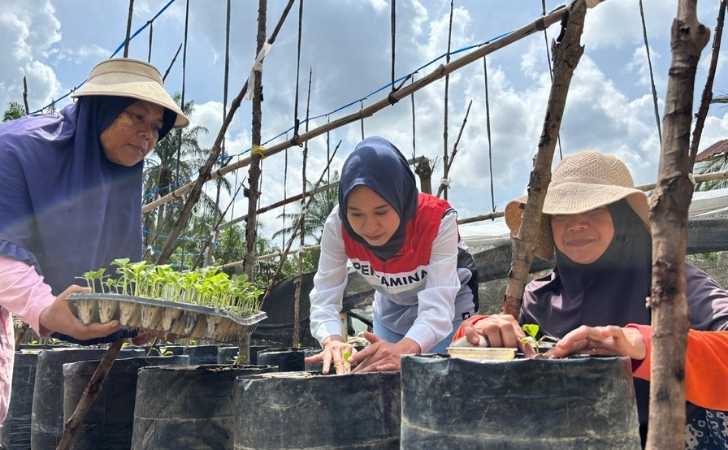 Kisah-Chaidir-Saleh-Beri-Sentuhan-Manisnya-Melon-Premium-untuk-Petani-Milenial.jpg