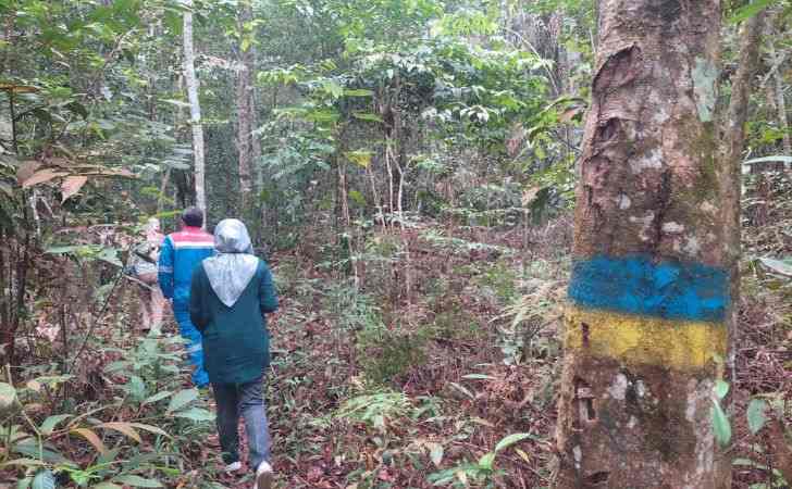 Komitmen-PHR-Lindungi-Kekayaan-Flora-dan-Fauna-Nusantara.jpg