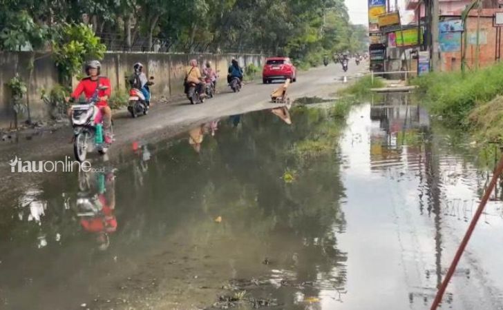 Kondisi-jalan-rusak-di-bangau-sakti.jpg