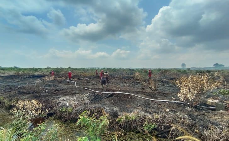 Lahan-polda-riau-yang-terbakar.jpg