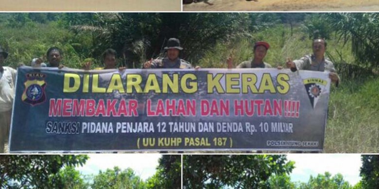 Larangan-Membakar-Hutan-dan-Lahan.jpg