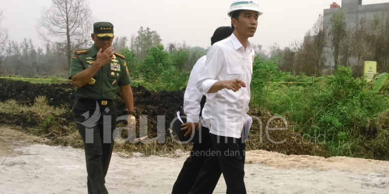 Lihat-lihat-Jokowi-ke-Rimbo-Panjang.jpg