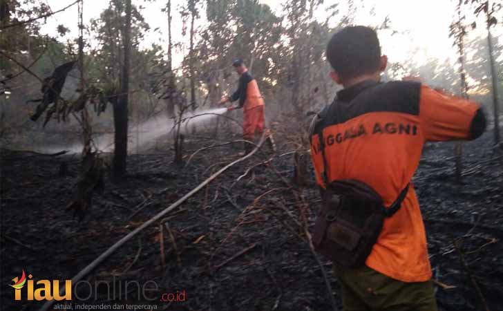 Manggala-Agni-Riau-memadamkan-karhutla.jpg