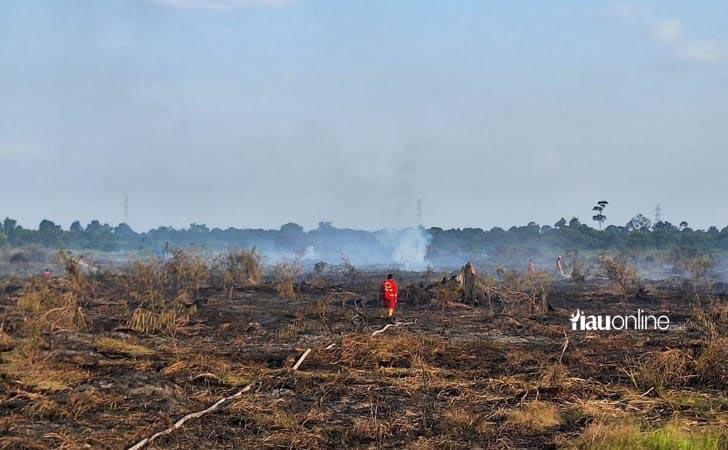 Manggala-Agni-padamkan-karhutla.jpg