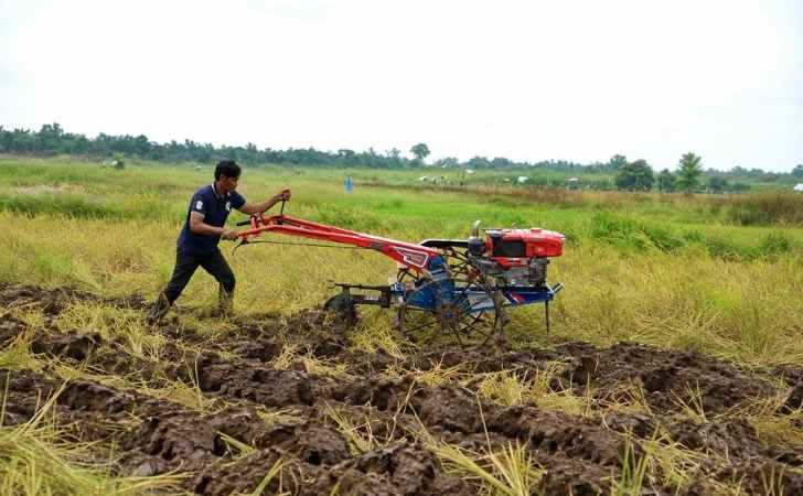 Meningkatkan-Kualitas-dan-Hasil-Panen-Padi-di-Desa-Pulau-Muda-Pelalawan.jpg