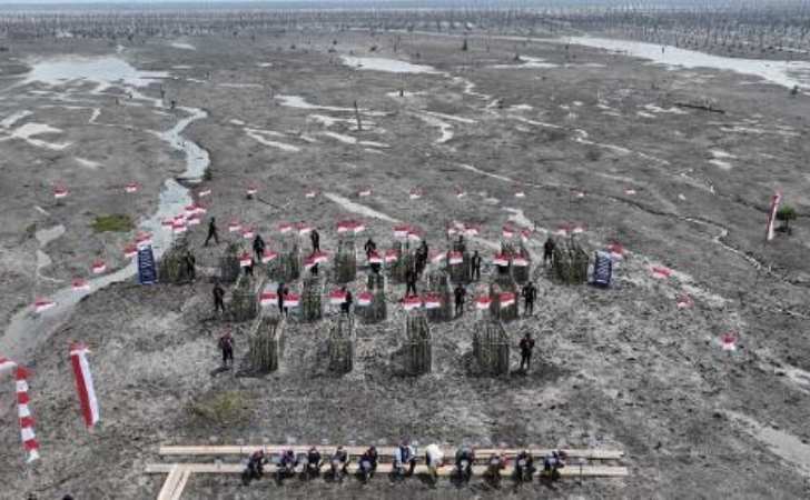 Menteri-LH-Targetkan-Rehabilitasi-Mangrove-Inhil-Mencapai-1.000-Hektare.jpg