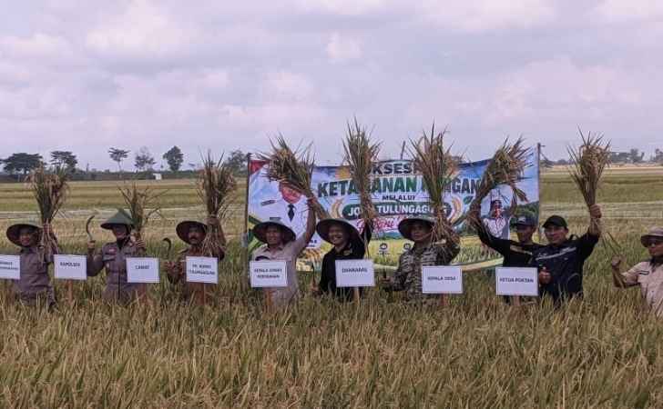 Meski-Kemarau-Panjang-Tulungagung-Panen-Raya-Padi-272-Ton.jpg