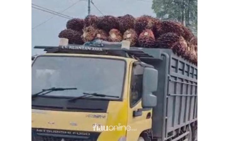 Meski-Sudah-Dilarang-Bupati-Siak-Truk-Sawit-Masih-Melintas-di-Jam-Sekolah.jpg