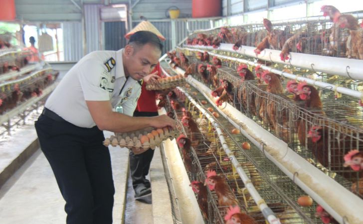 Panen-telur-ayam-di-lapas-pekanbaru.jpg