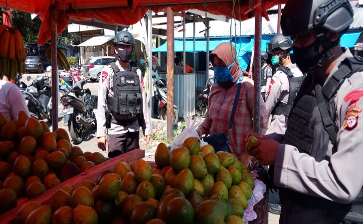 Penjuak-buah4.jpg