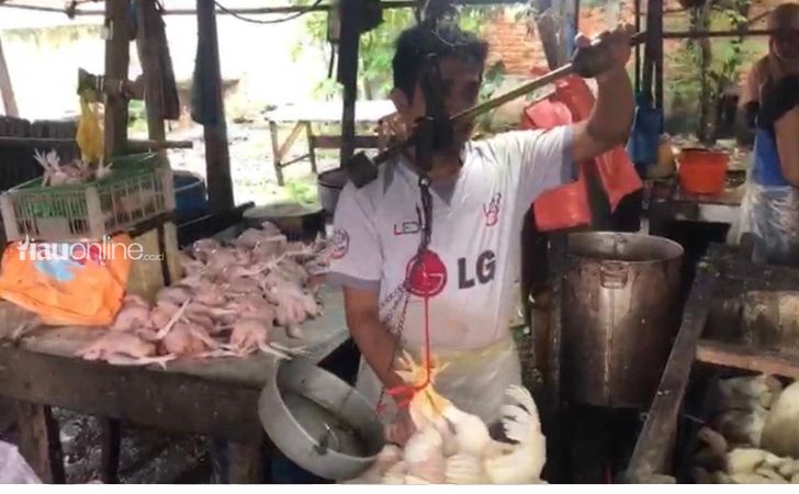 Penjual-ayam-di-pasar-cik-puan.jpg