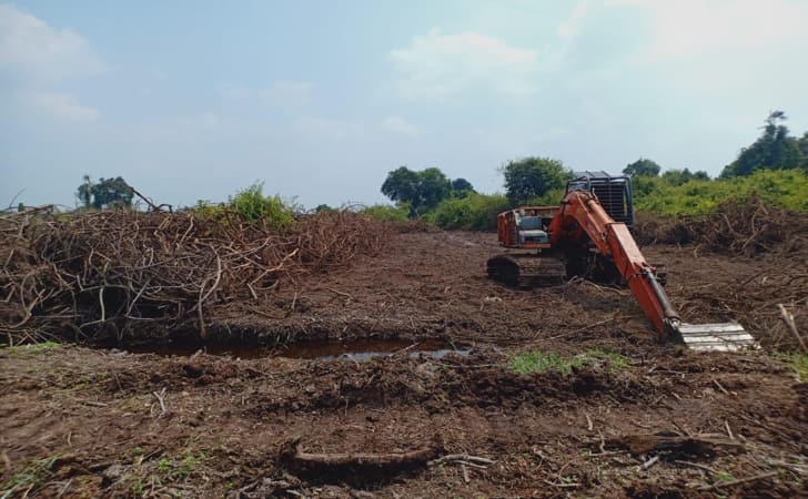 Perambahan-Hutan2.jpg