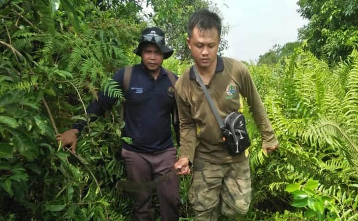 Perbaikan-lahan-mangrove.jpg