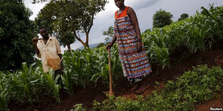 Petani-Malawi-Gunakan-Air-Pipis-untuk-Pupuk.jpg