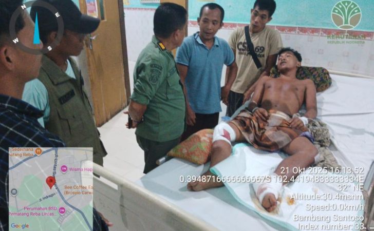 Petani-damar-di-serang-harimau.jpg